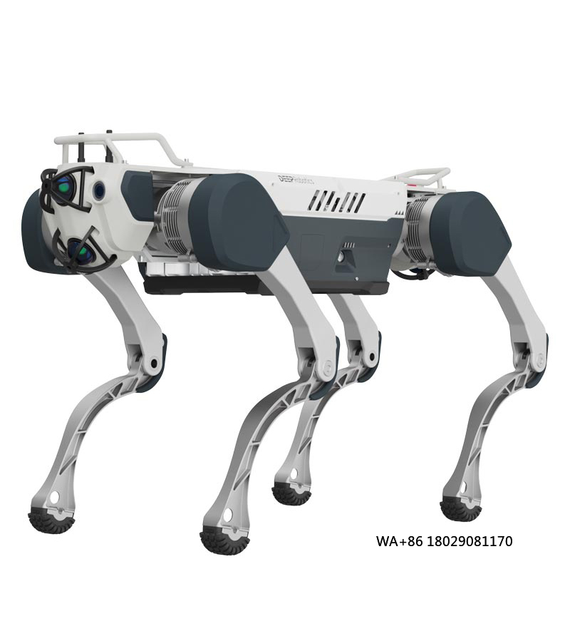Robot Remote Control - Ottieni l'intelligenza artificiale per l'educazione e