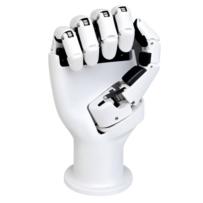 AmazingHand Mano Robotica a 6  - Robot Arm Metal recensione e prezzo