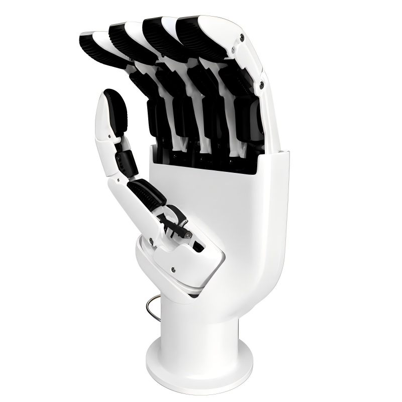 AmazingHand Mano Robotica a 6  - Robot Arm Metal recensione e prezzo